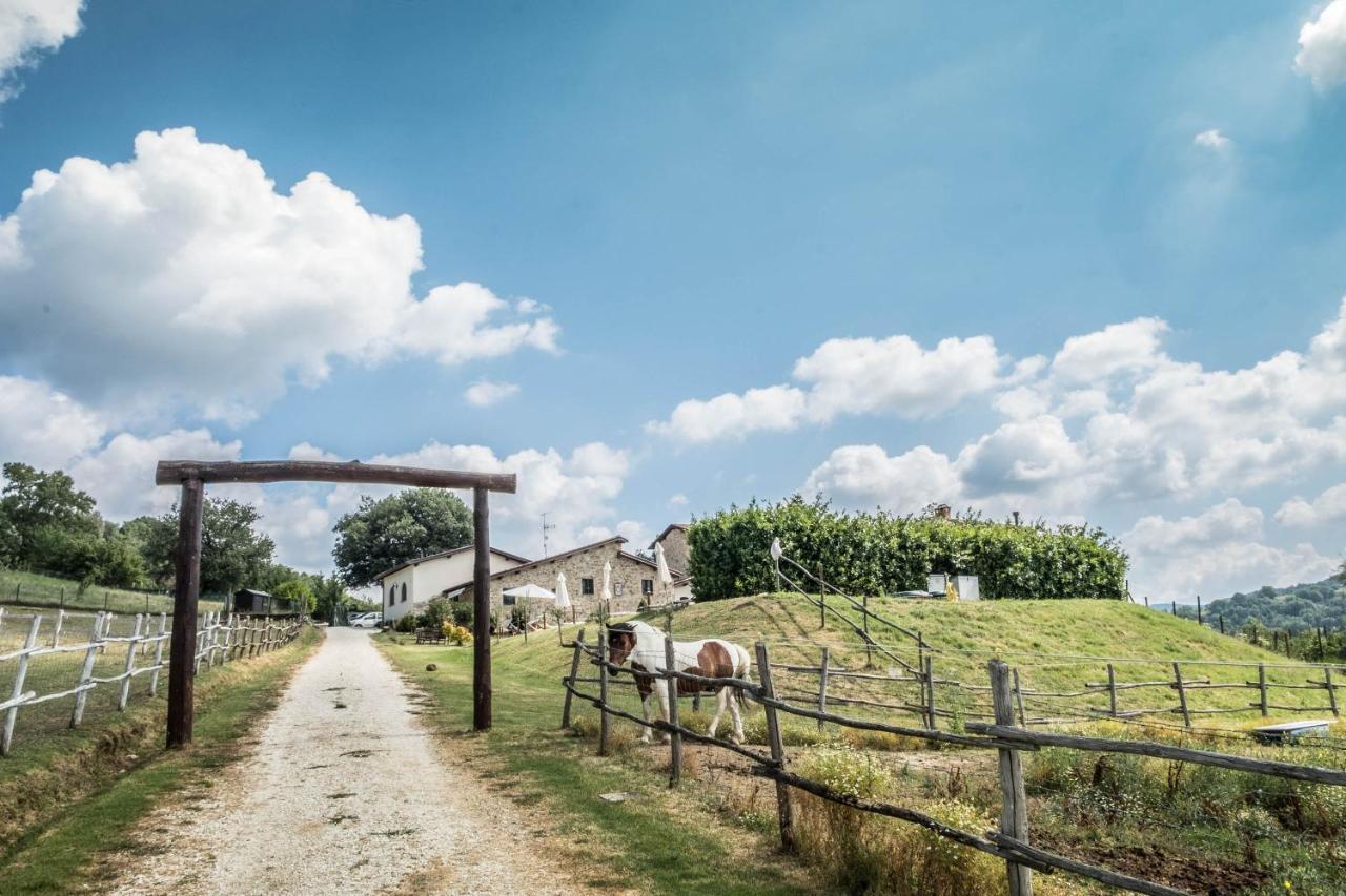 Agriturismo Goccia Di Luna Umbertide Luaran gambar