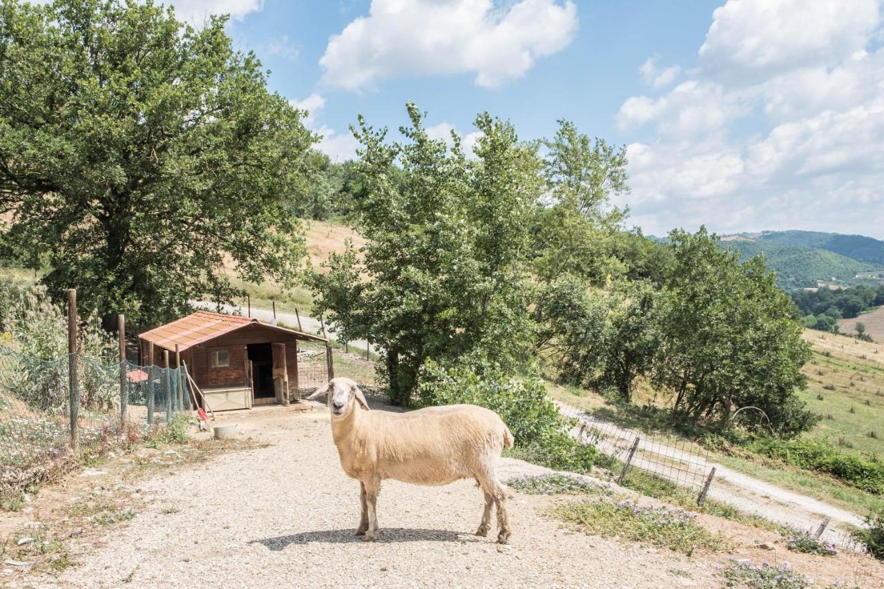 Agriturismo Goccia Di Luna Umbertide Luaran gambar