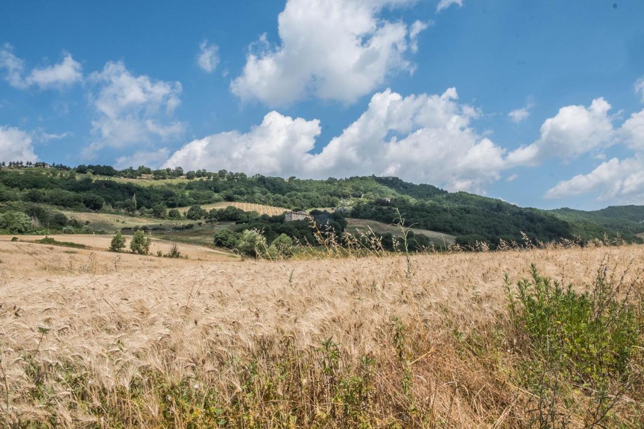 Agriturismo Goccia Di Luna Umbertide Luaran gambar