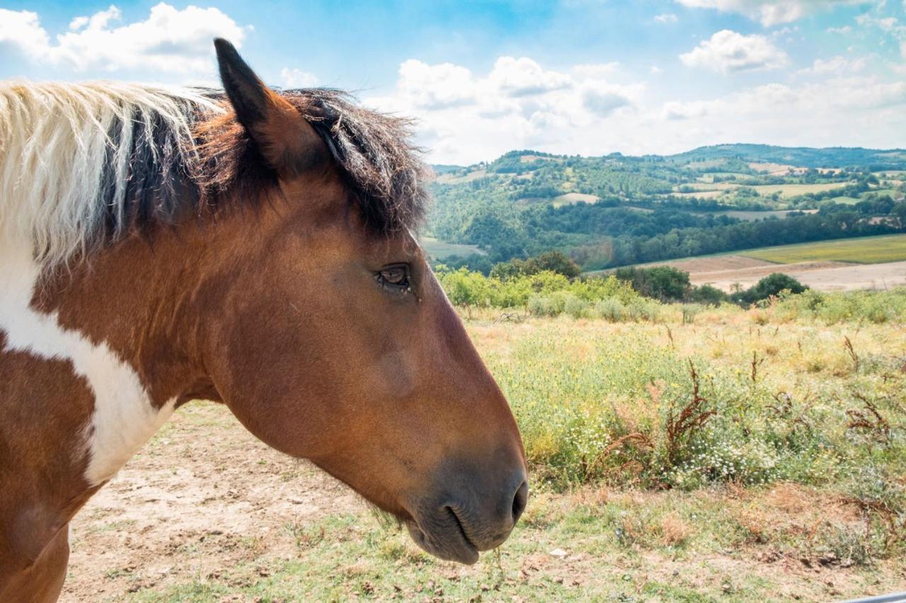 Agriturismo Goccia Di Luna Umbertide Luaran gambar